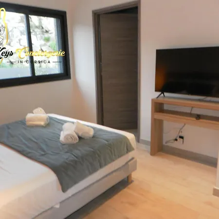 Villa N5 Piscine Chauffee Privee Jardin 5 Min Page St Cyprien Keysconciergerie In Corsica *